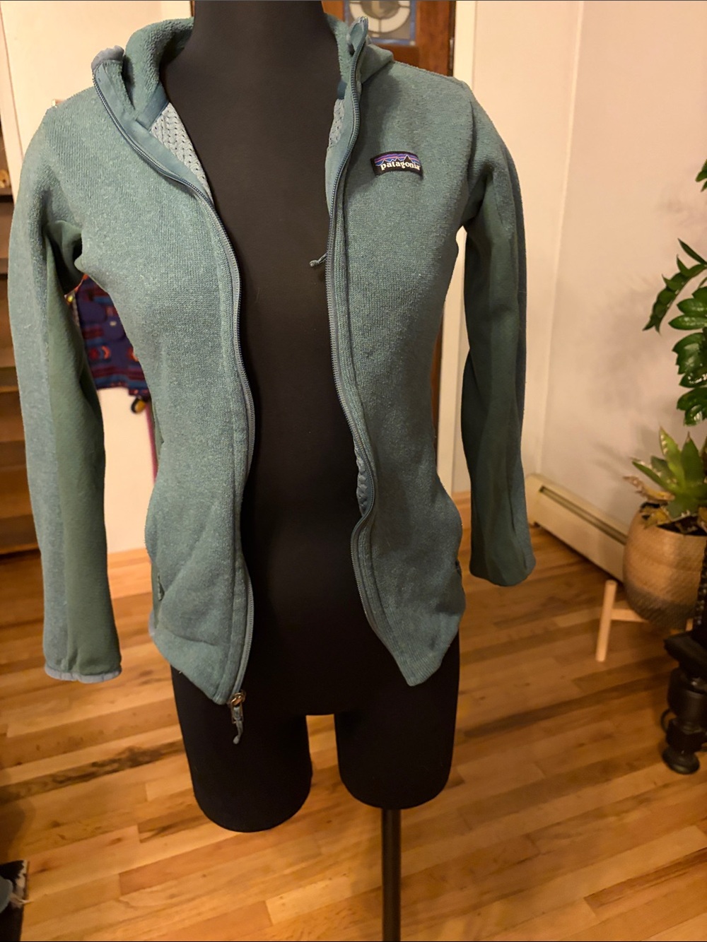 Patagonia Women's Teal Hooded Fleece Jacket - Full Zip